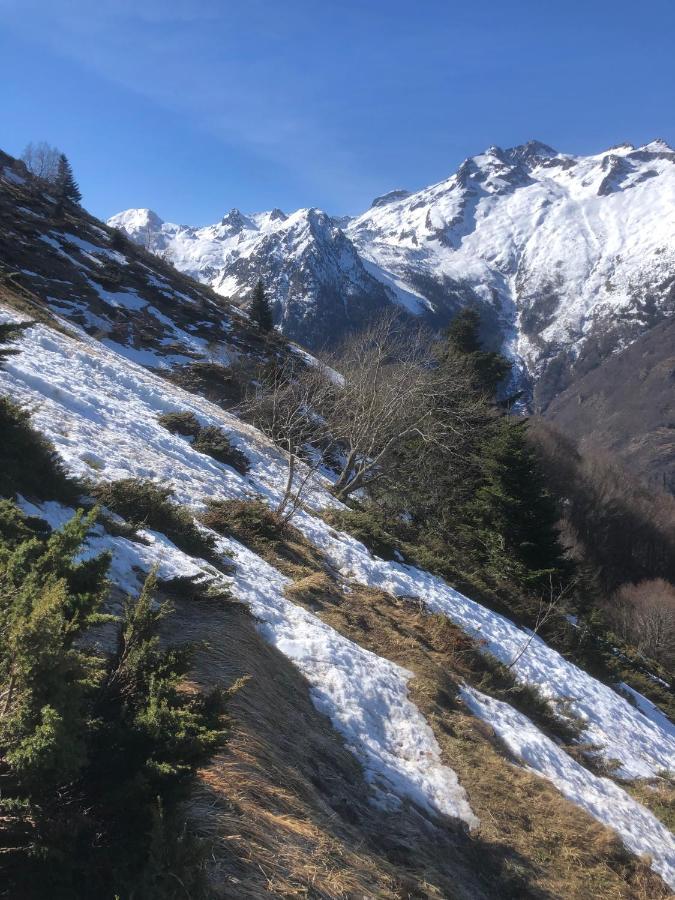 La Petite Maison Des Montagnes Luz-Saint-Sauveur Exteriör bild